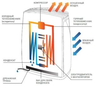 Как работает осушитель воздуха