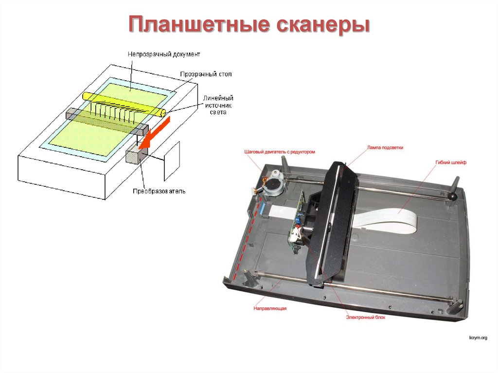 Устройство планшетных сканеров.