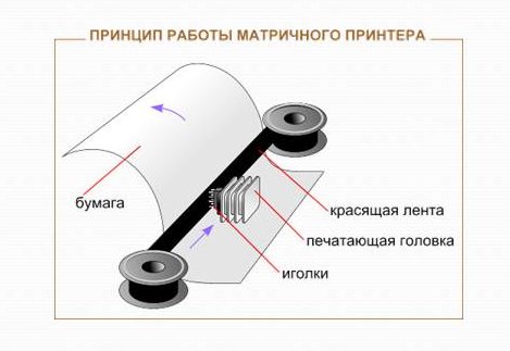 Устройство и принцип работы матричного принтера.