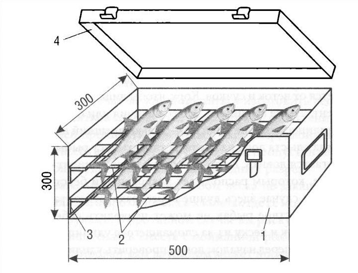 Размеры коптильни для рыбы.
