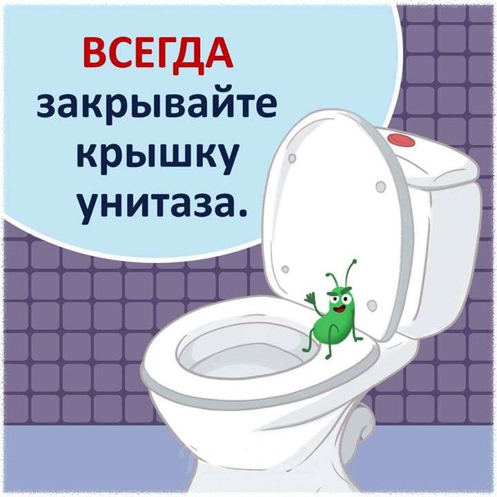 гигиена унитаза