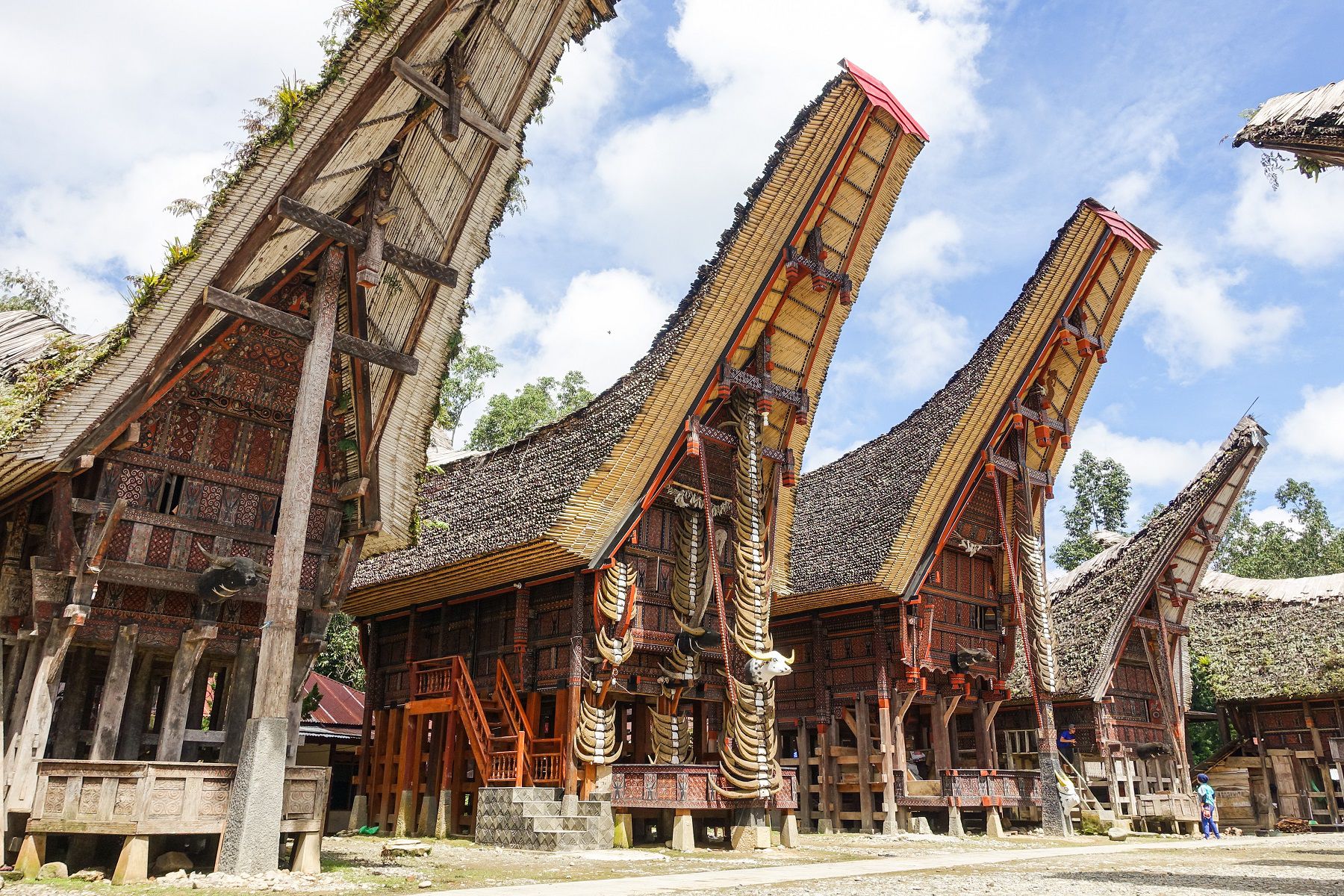 toraja_03-5982920f396e5a0011cf3b40