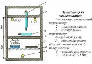 инкубатор схема